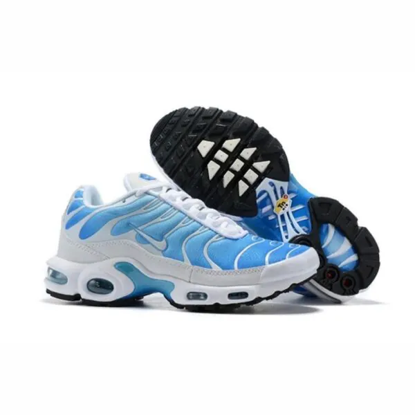 NIKE AIR MAX TN WB