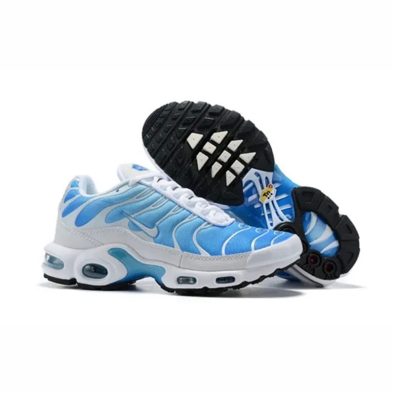 NIKE AIR MAX TN WB