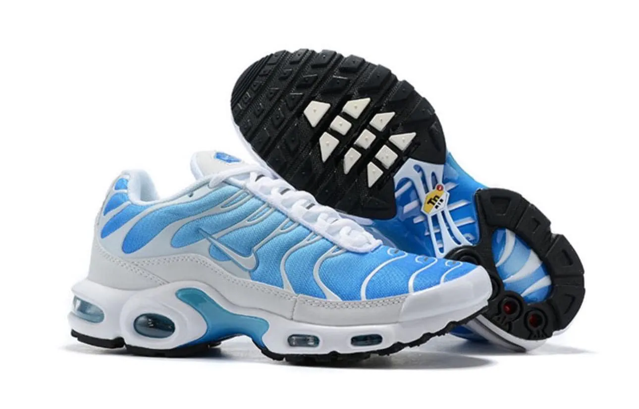 NIKE AIR MAX TN WB