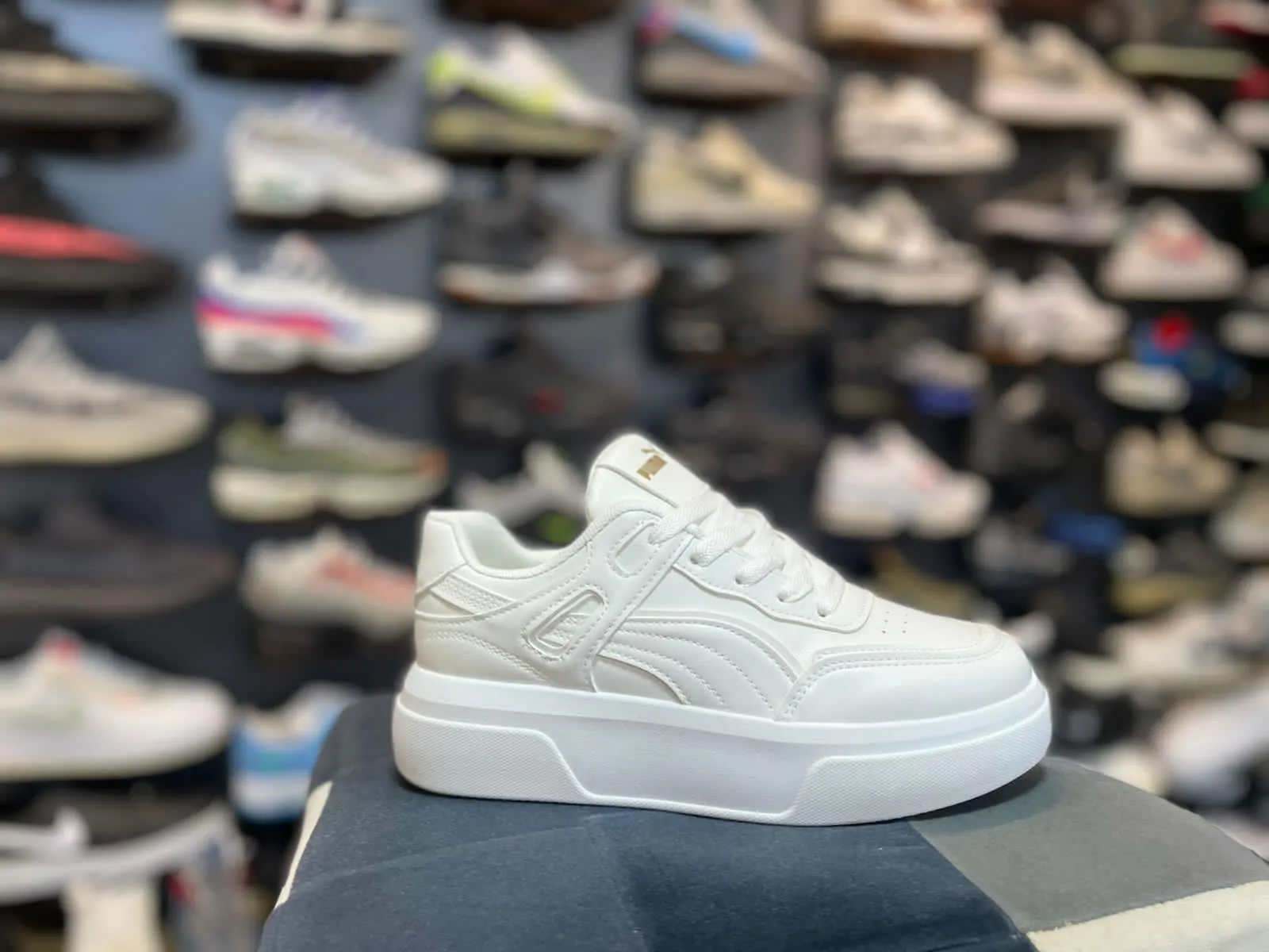 Puma WW