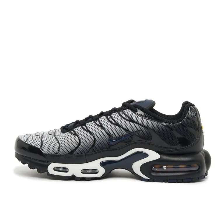 Nike TN Air Max Plus Black Metallic Silver